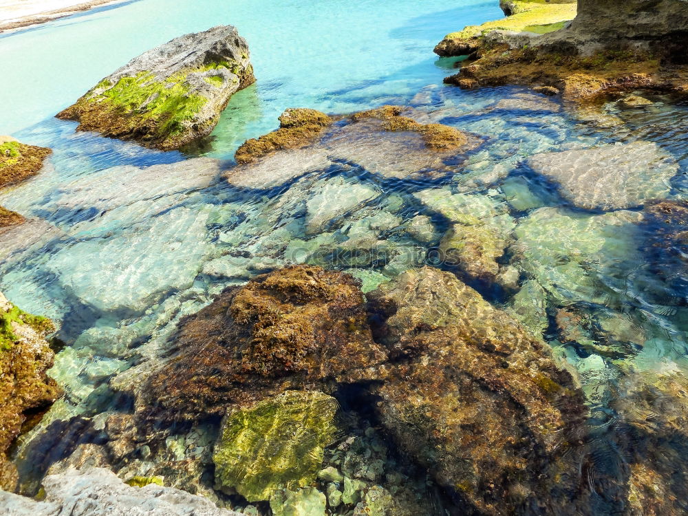 Similar – Image, Stock Photo Pool 2 Swimming pool Beach