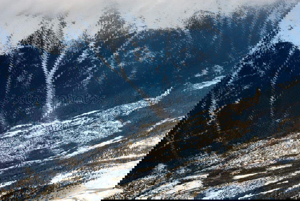 Similar – Foto Bild Frühlingszebra Berghang