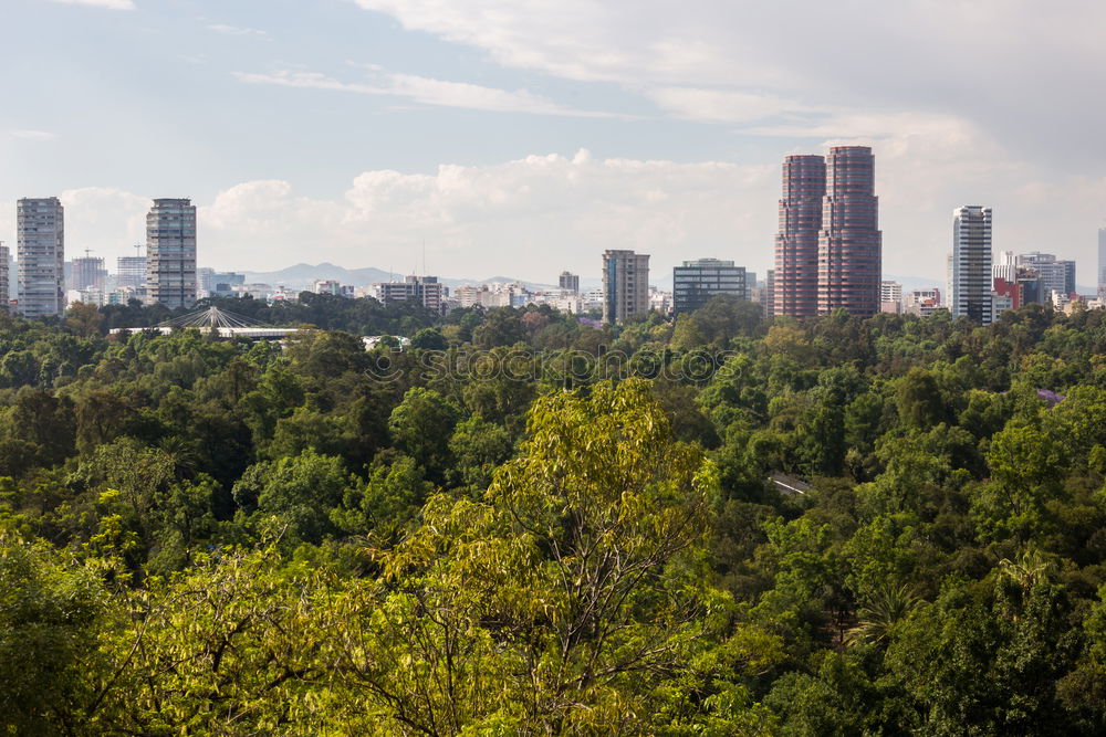 Similar – Frankfurt