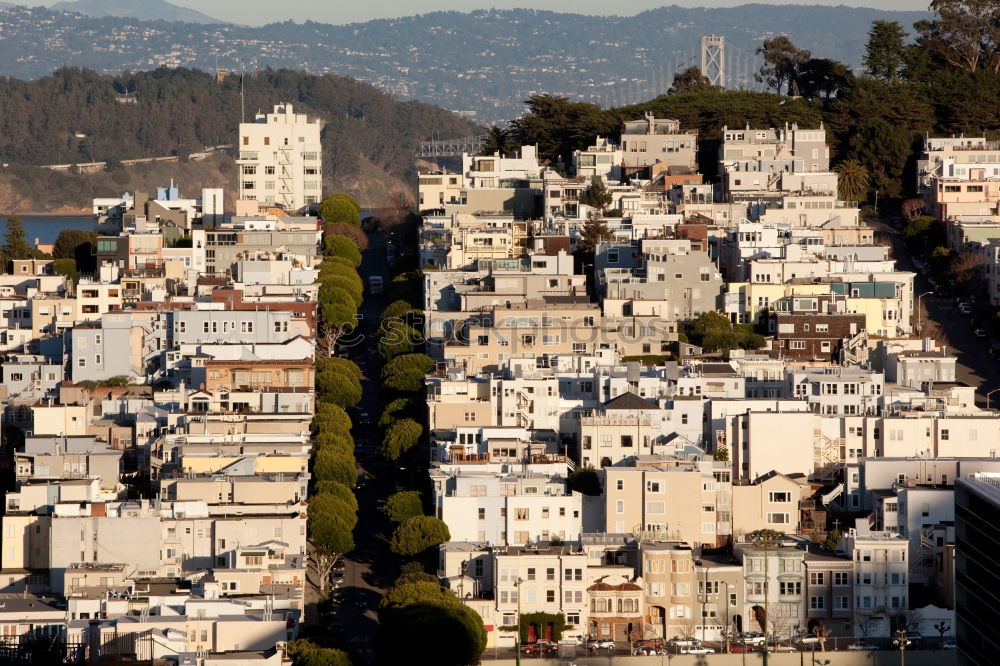 Similar – Image, Stock Photo View of San Francisco Downtown