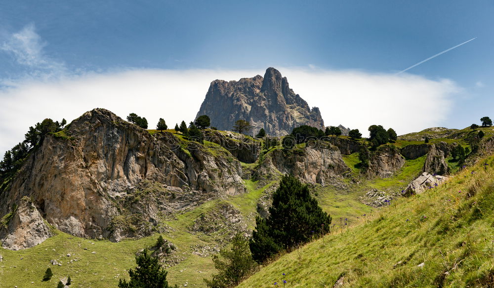 Similar – pilatus Sommer Wald fahren