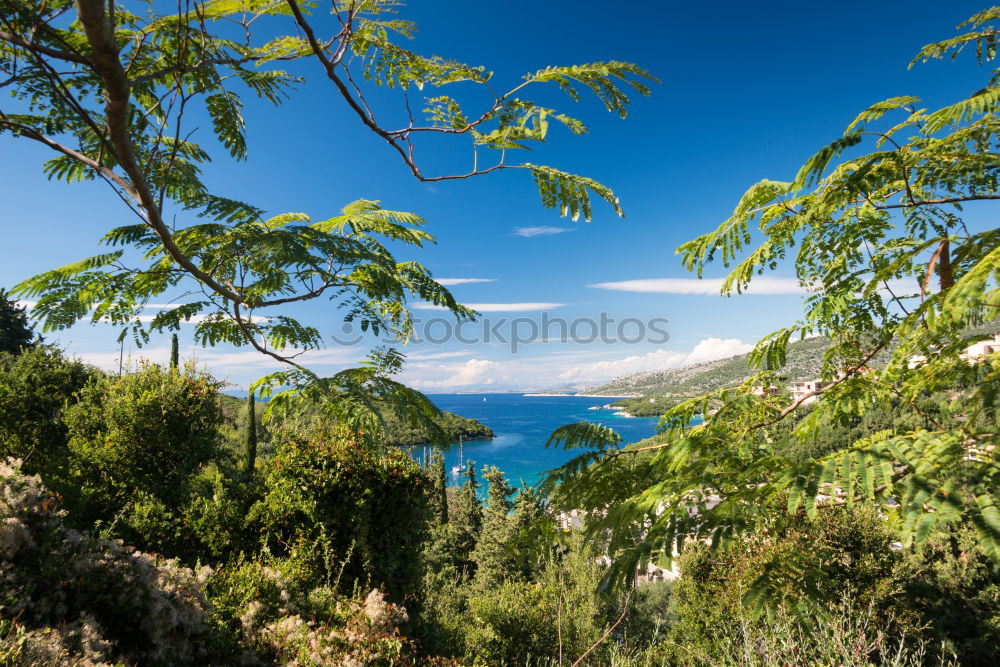 Similar – tree, lake, mountain, small town…