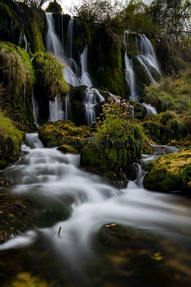 Similar – mystery Nature Landscape