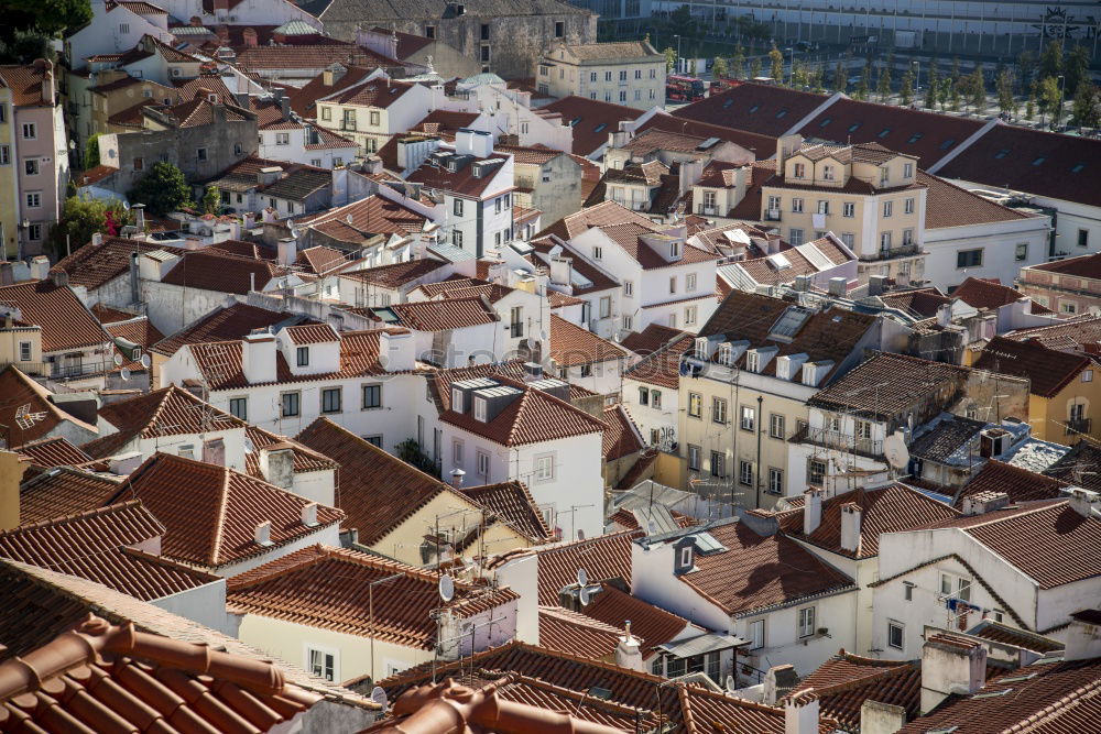 Similar – Stari grad Dubrovnik Town