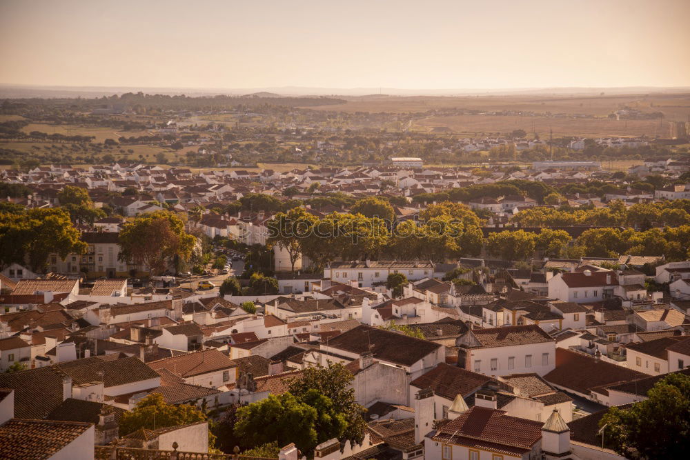 Similar – Image, Stock Photo Bright sunlight over city