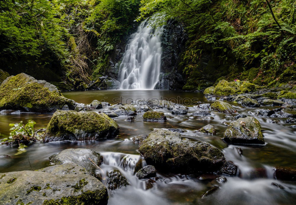 Similar – Foto Bild water falls Natur Pflanze