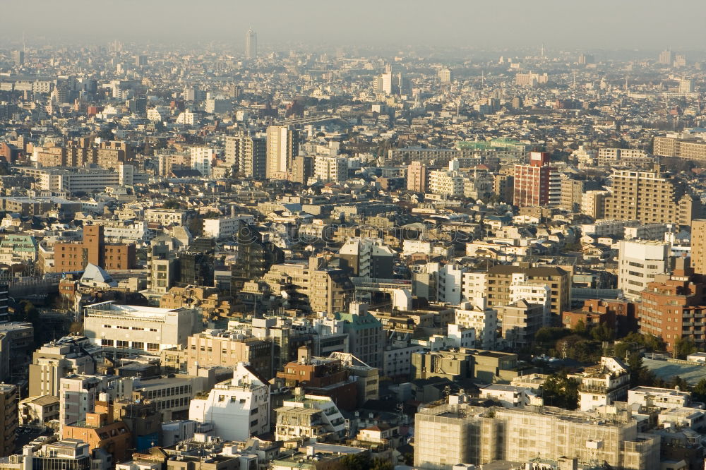 a hint of Cairo Town