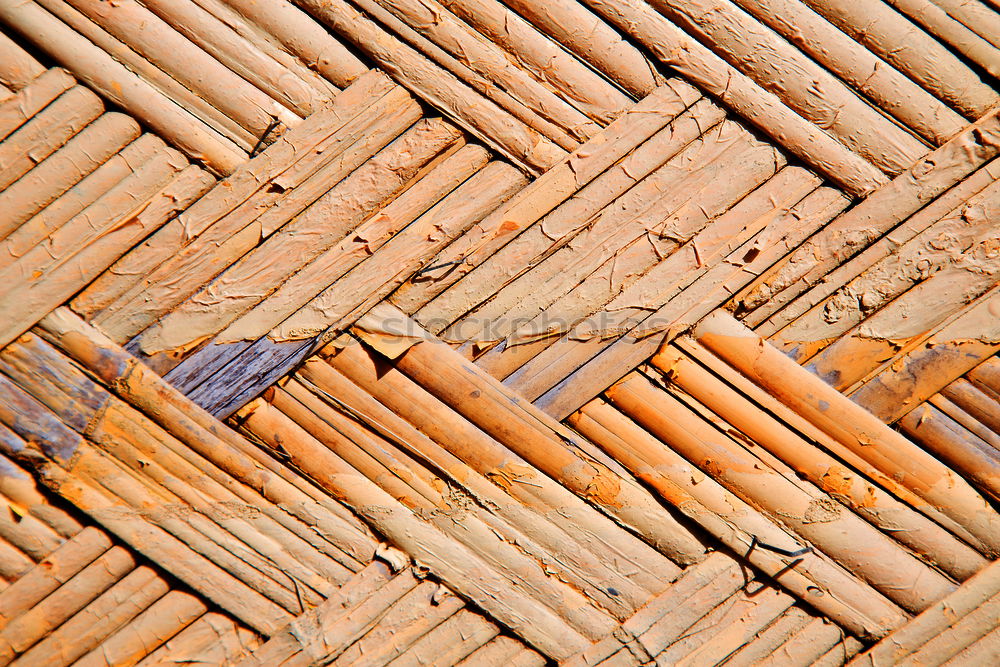 Similar – Image, Stock Photo Straw again Rügen Riet