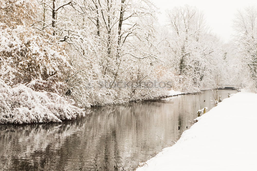 Similar – Image, Stock Photo Still the lake rests in winter