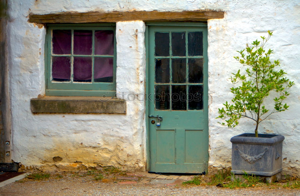 Similar – Foto Bild Blaue Tür Bretagne Blume