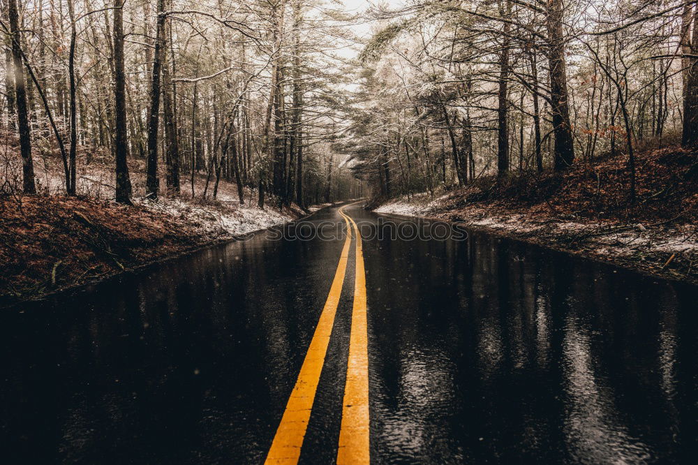 Similar – Landscape of road running away in woods