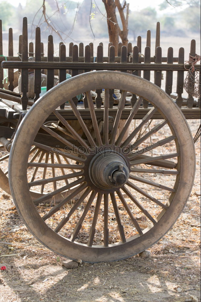 Similar – Image, Stock Photo exhausted Carriage