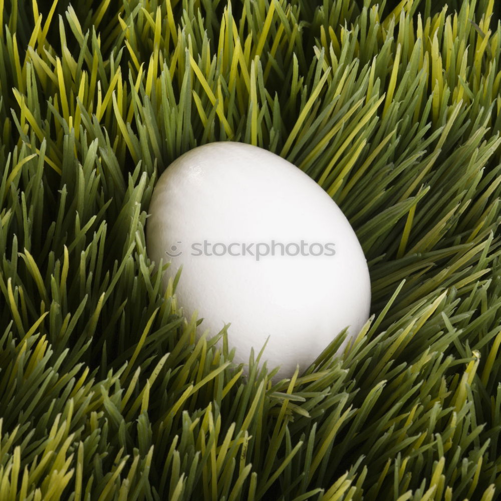 Similar – Image, Stock Photo The Golftee Golf course