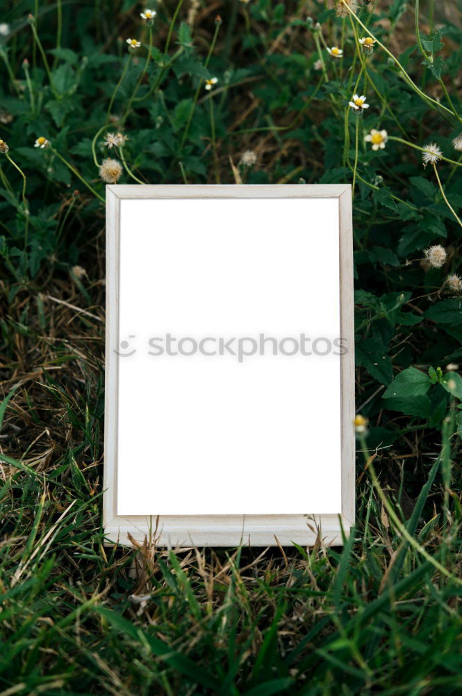 Similar – Image, Stock Photo Small wooden house in garden