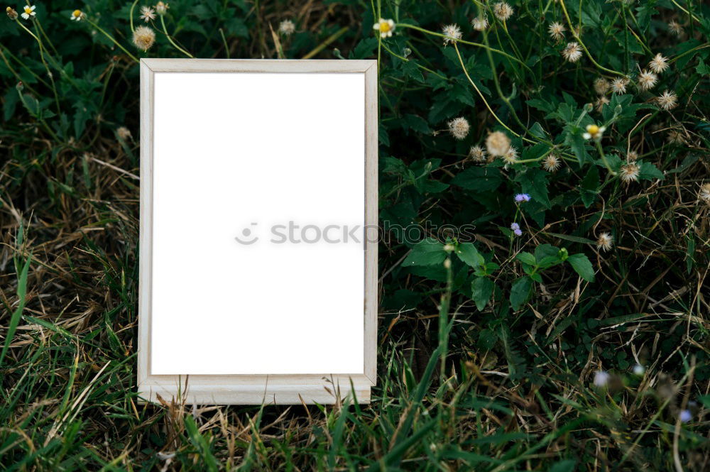 Similar – Image, Stock Photo Small wooden house in garden