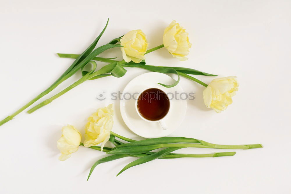 Image, Stock Photo Honey with fresh fruit tree blossoms