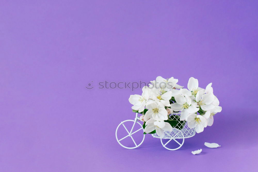 Similar – Image, Stock Photo Like a flower Lifestyle