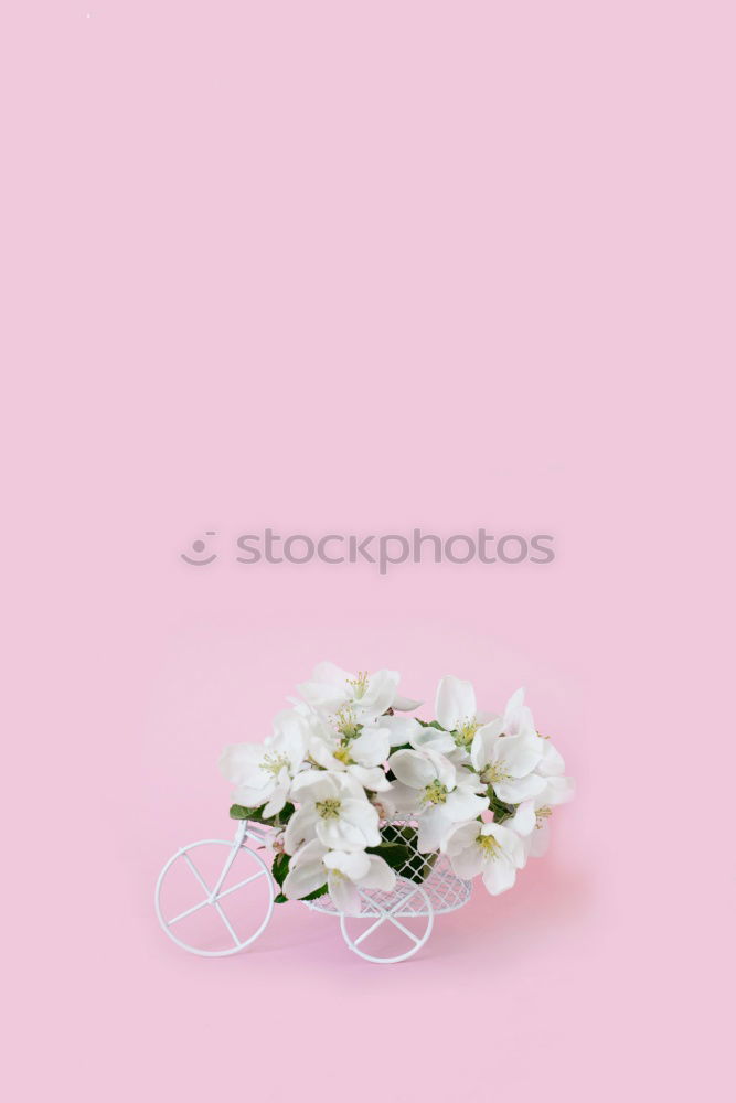 Similar – Image, Stock Photo Open envelope envelope with pastel flowers and petals