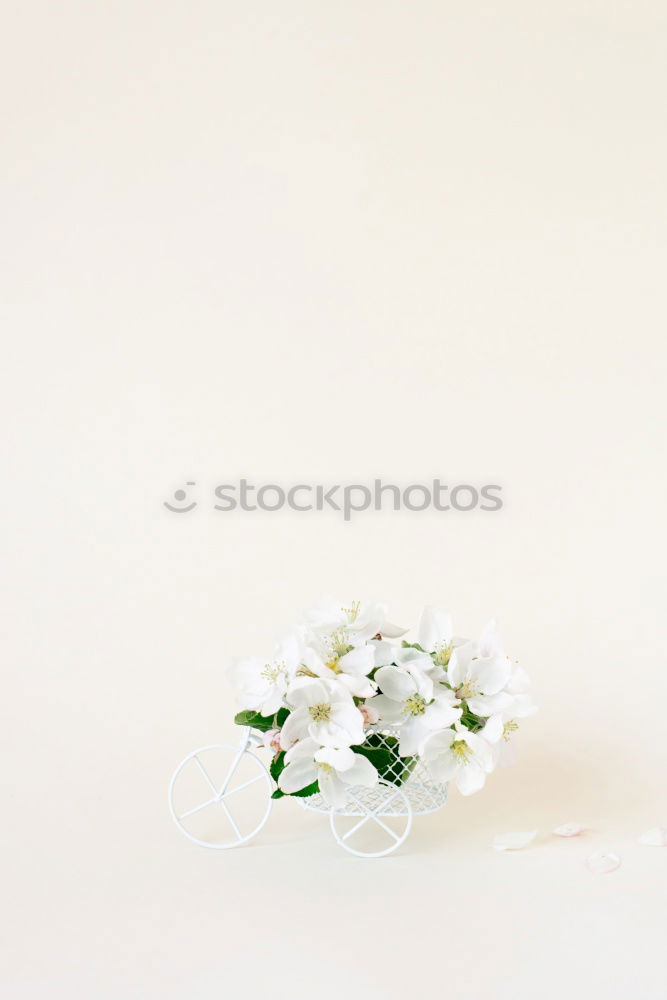 Similar – Wonderful fresh flowers in vase