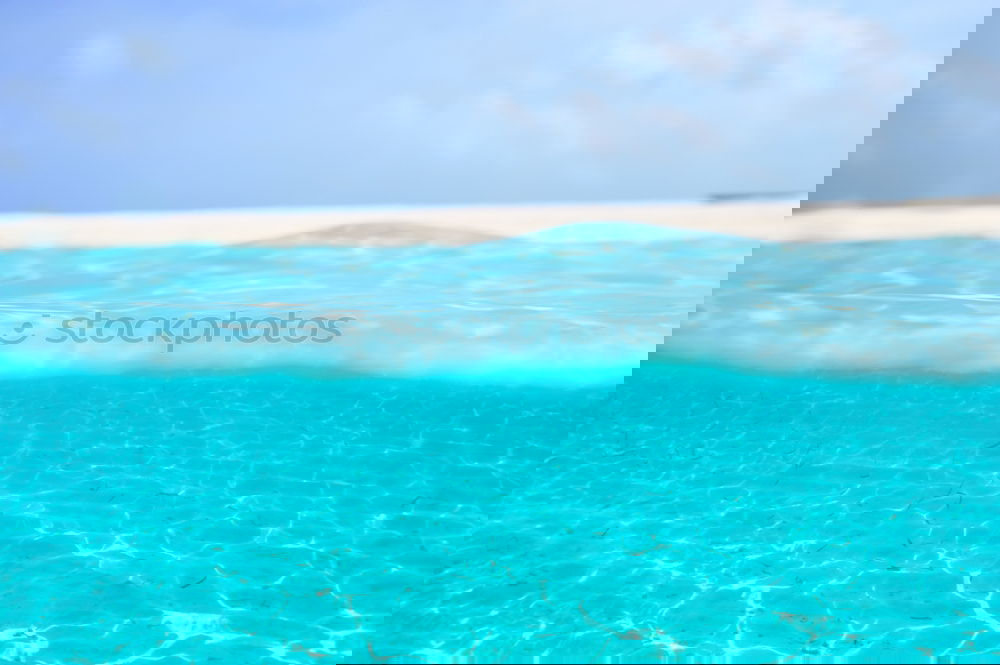 Similar – Image, Stock Photo pool Lifestyle Wellness