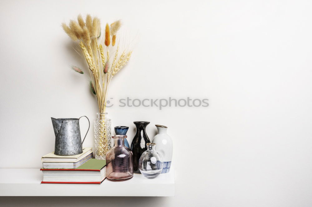 Similar – Watering can with garden flowers