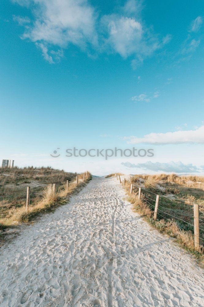 Similar – Coastal forest at the Baltic Sea