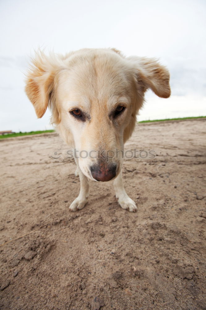 Similar – Image, Stock Photo Jump into the Blur