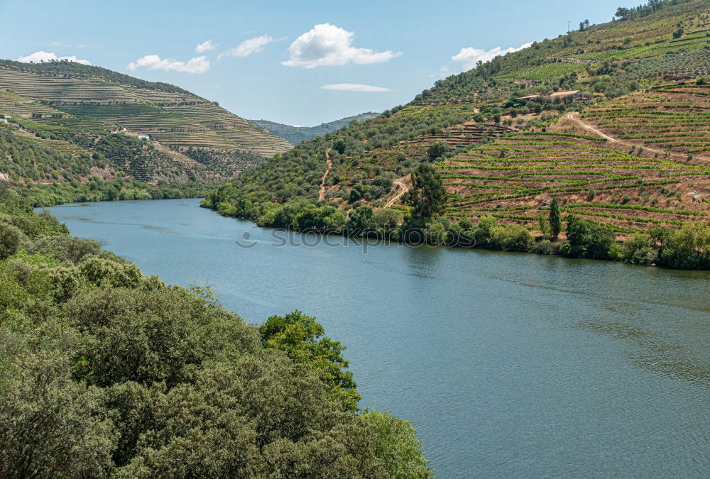 Similar – Image, Stock Photo Viticulture in the Douro Valley