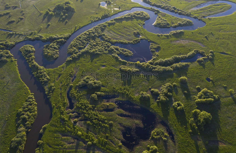 brook Brook River Water