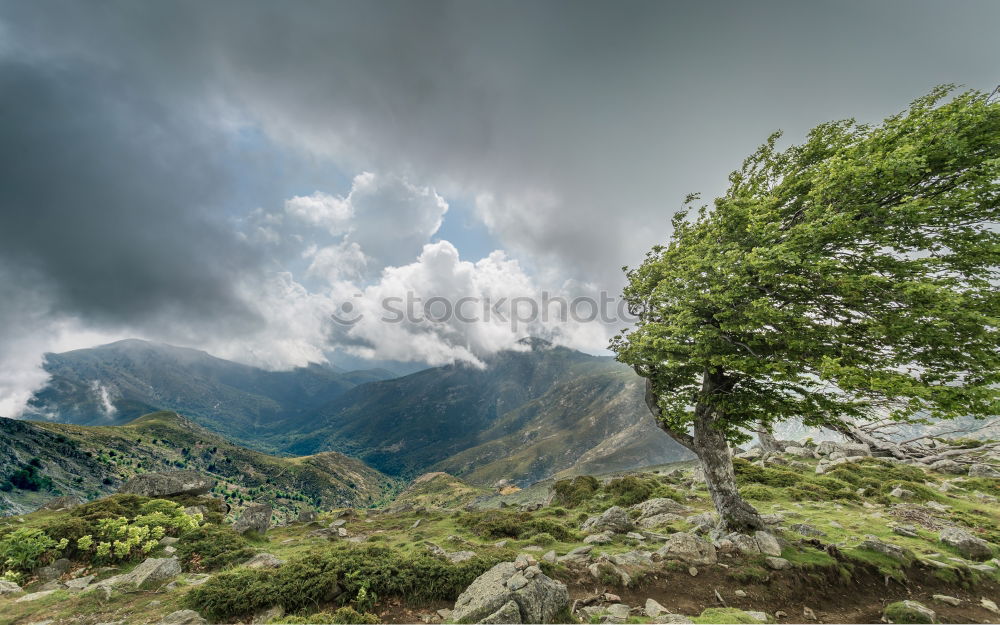 Similar – Kleine Welt, große Berge