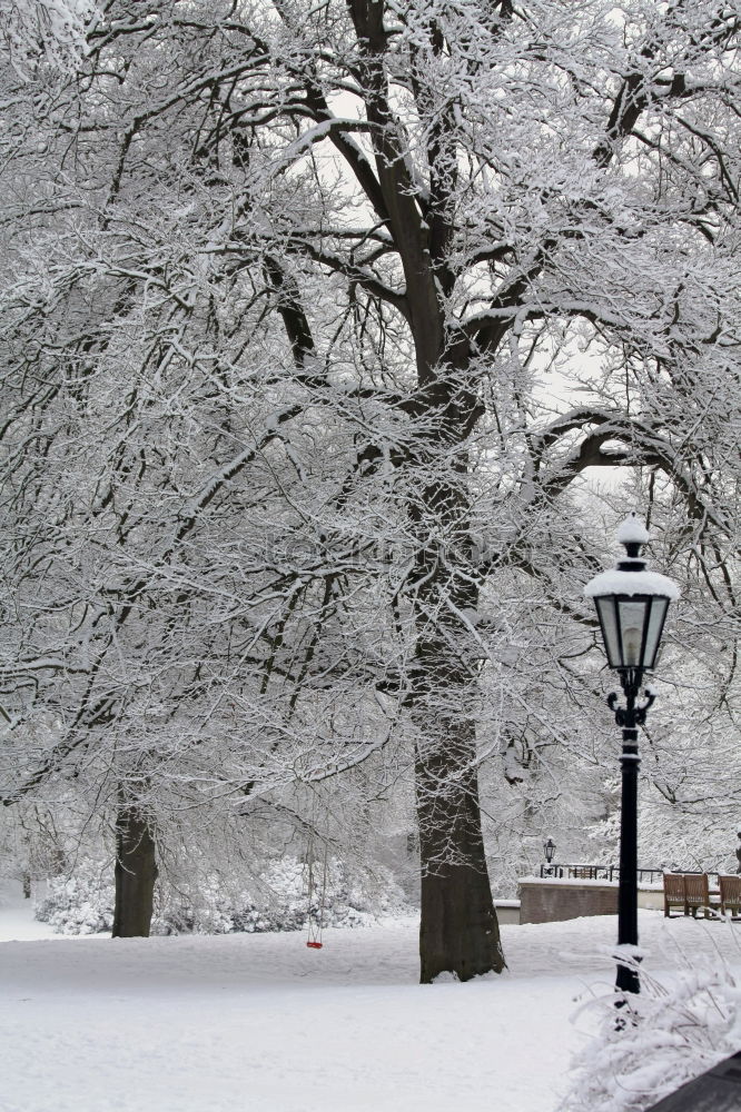 Similar – Foto Bild Stadtpark Tourismus