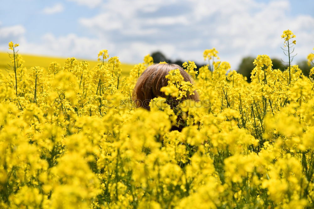 Similar – Foto Bild RaRaRapsputin gelb grün