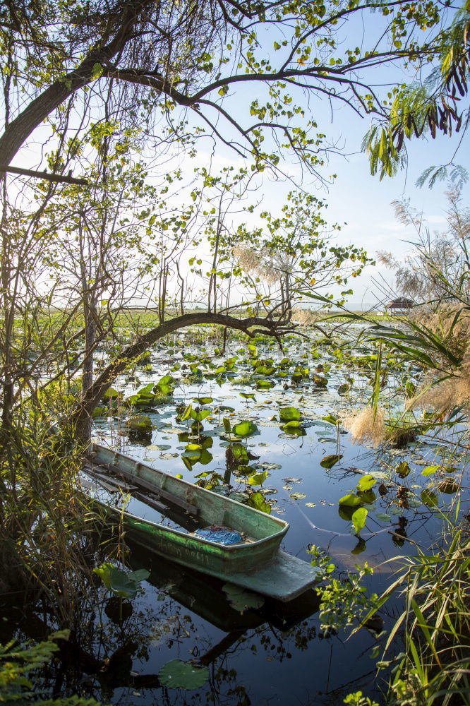 Similar – Image, Stock Photo boat trip Nature Blue