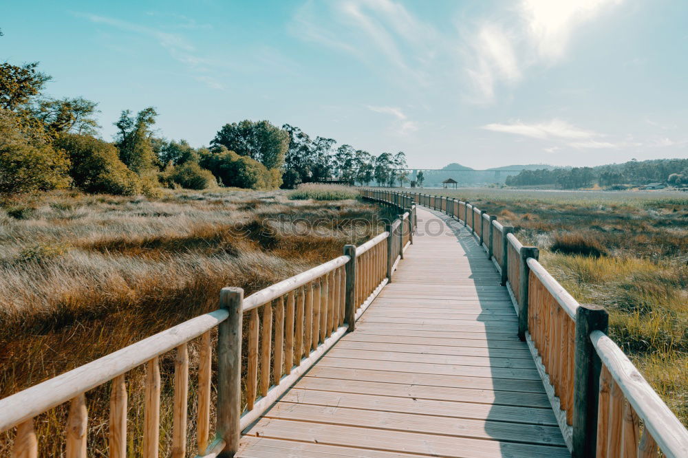 Similar – Image, Stock Photo autumn paths Nature