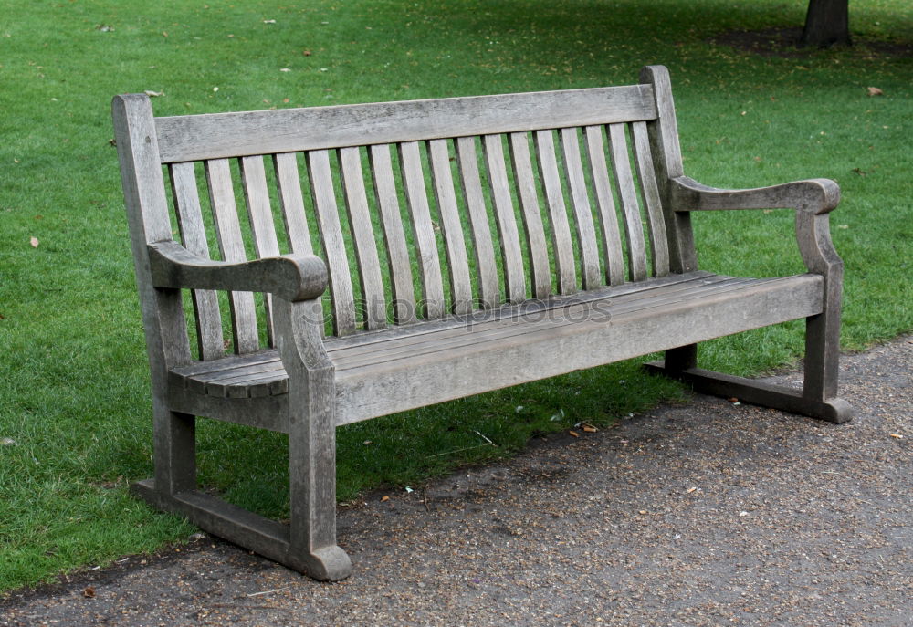 White plastic garden bench stands under trees on forest ground