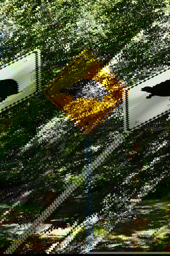 Similar – Foto Bild Achtung Flutwelle