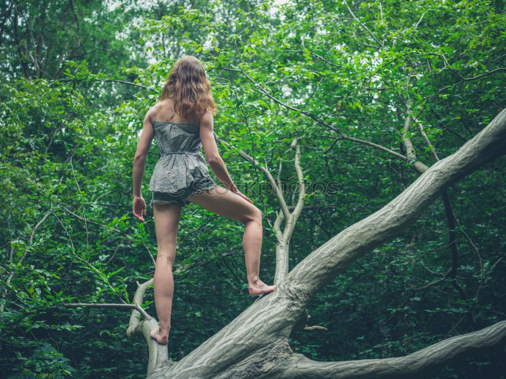 Similar – Image, Stock Photo happy kid girl exploring summer forest