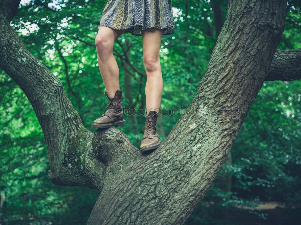 Similar – Image, Stock Photo Cheerful kid in costume posing on tree