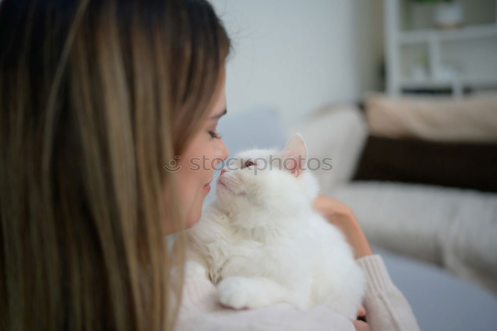 Similar – Image, Stock Photo cat and baby bum Lifestyle