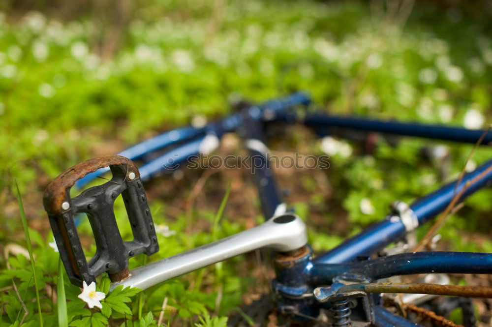 Similar – Handlebar of a red bicycle with black bicycle basket and kitschy cat figure with white flowers and blossoms in summer in the north end of Frankfurt am Main in Hesse, Germany