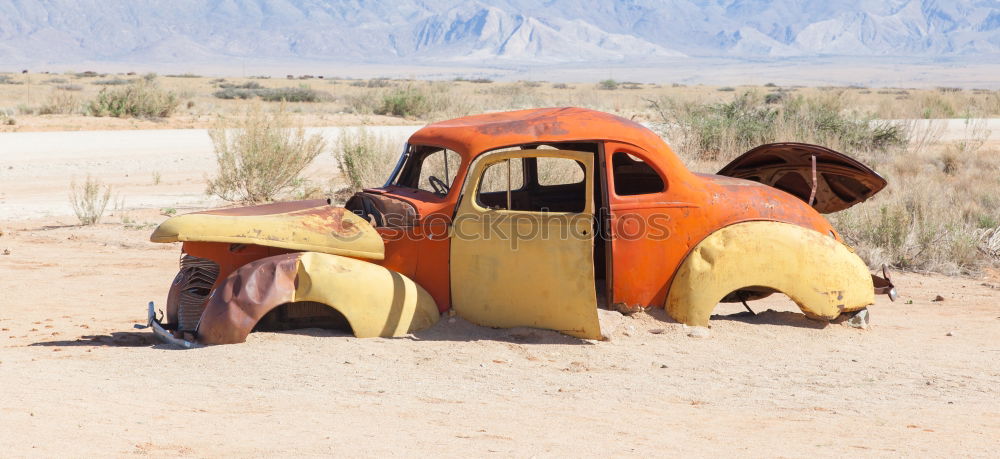 Similar – Image, Stock Photo summer dachshund Caravan