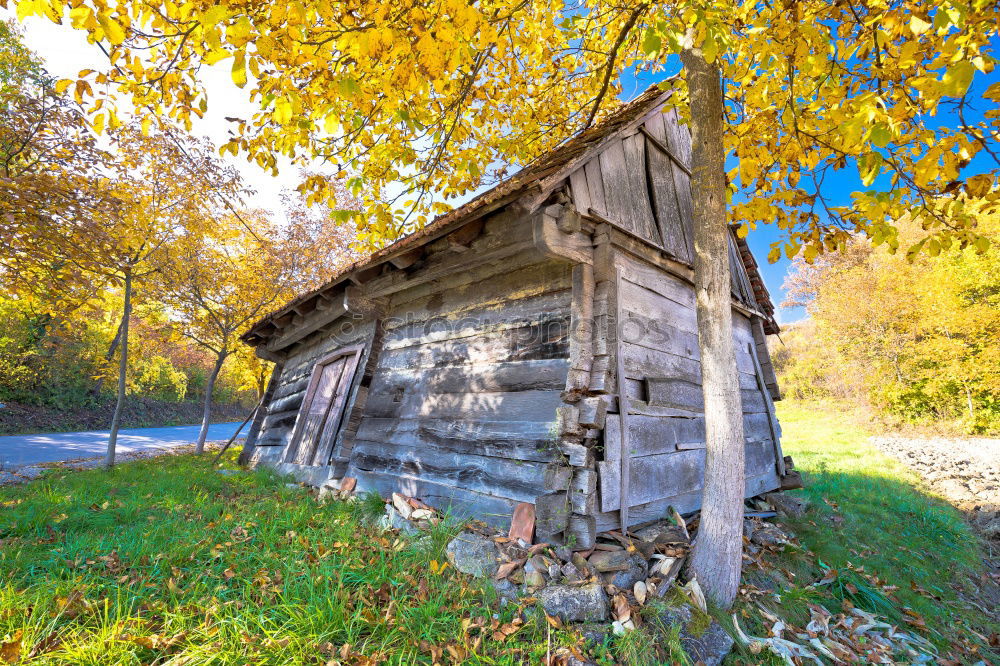 Similar – Image, Stock Photo Enough wood in front of the hut with the closed window