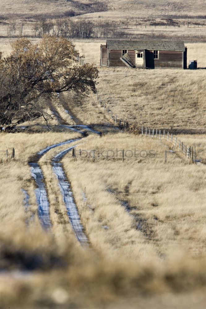 Similar – Steine auf dem Weg Natur