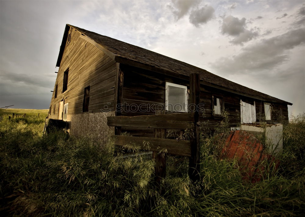 Foto Bild Haus Ferne Freiheit Natur