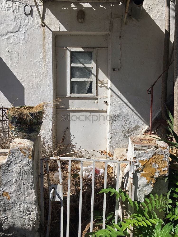 Image, Stock Photo garden door Plant Tree