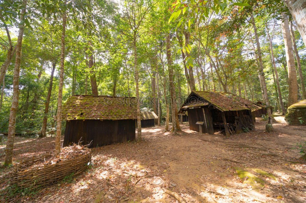 Similar – Image, Stock Photo Wooden house in forest