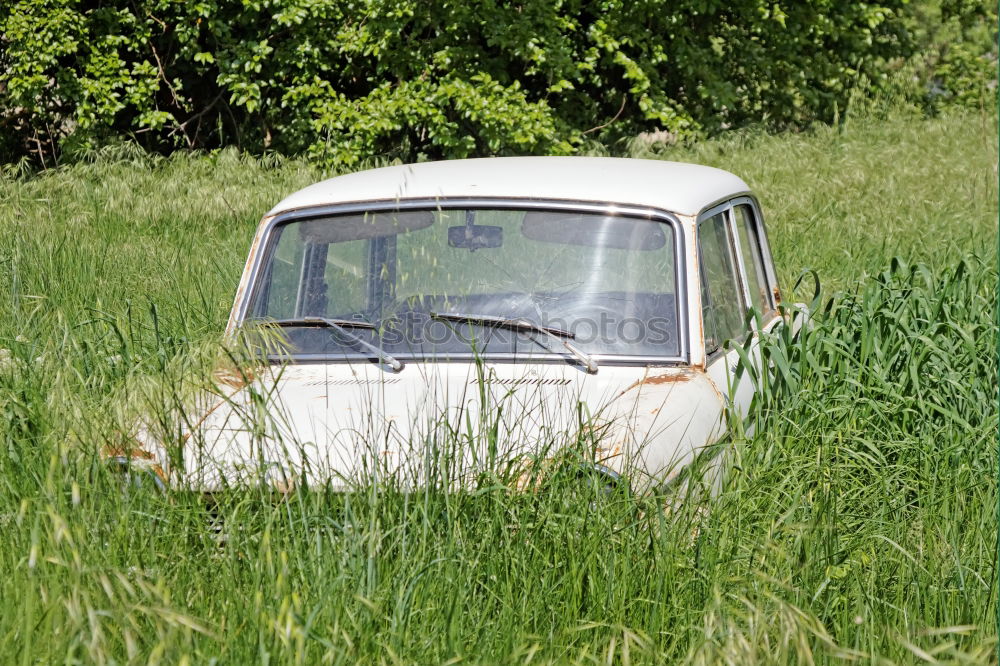 Image, Stock Photo vintage car Yellow Shabby