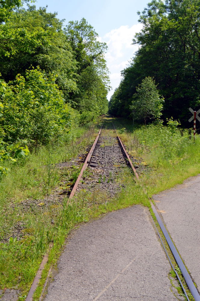 Similar – Old Railway Bridge