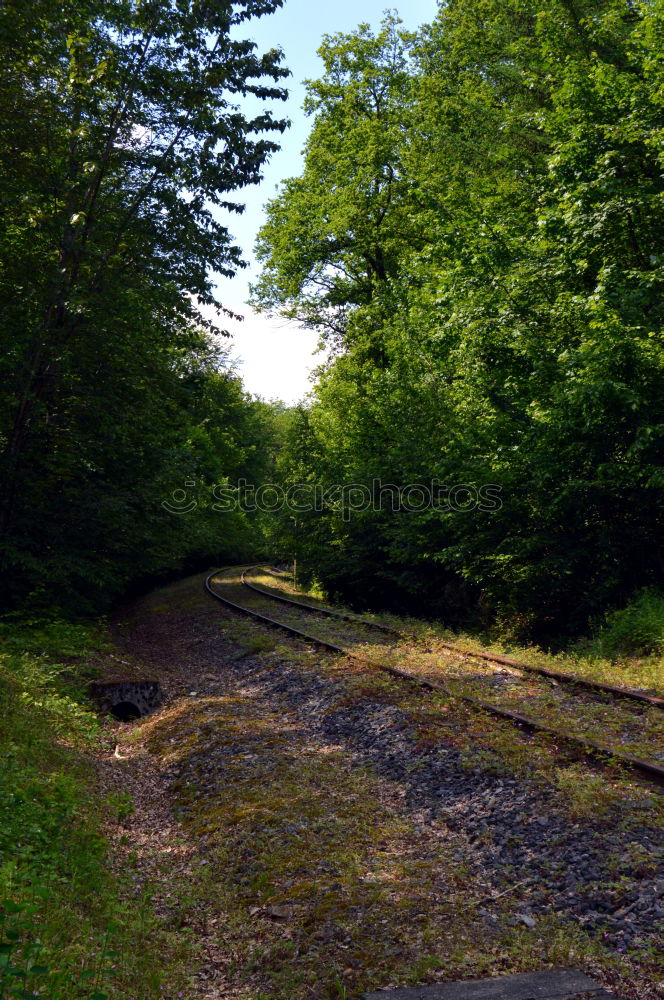 Similar – Old Railway Bridge