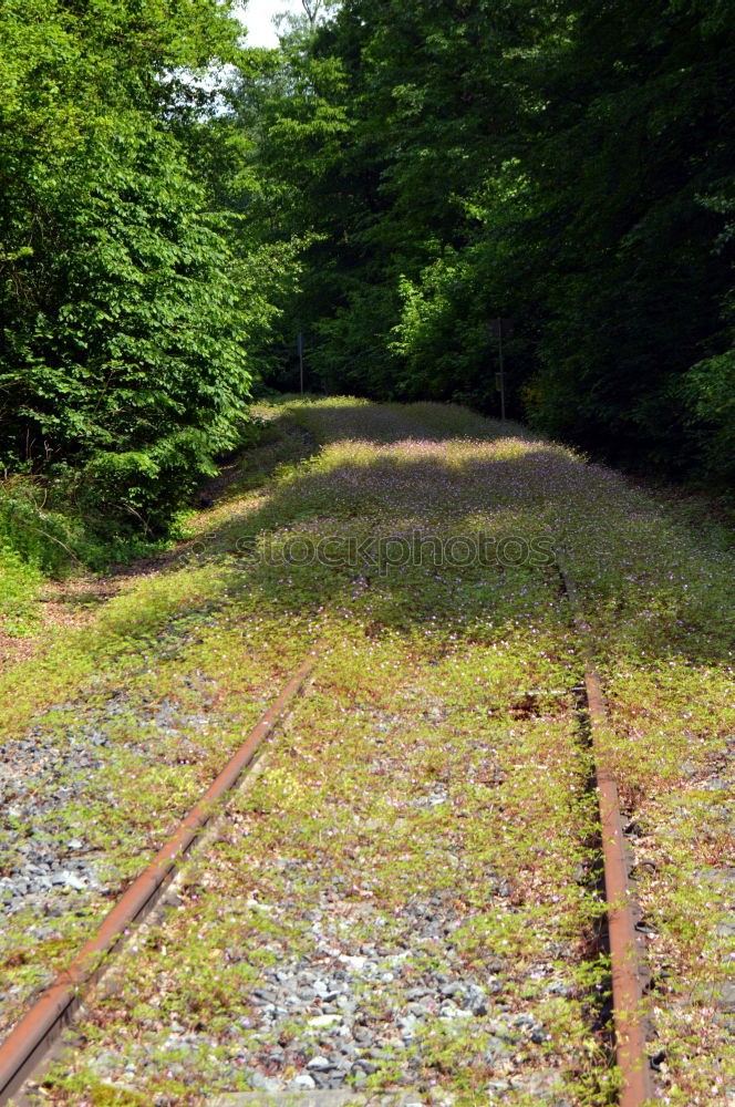 Similar – Old Railway Bridge